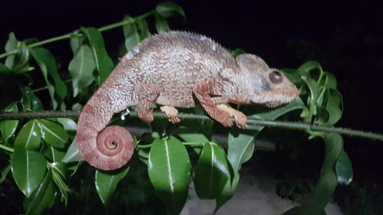 Sanjeela-Plage Coco Antsiranana Zewnętrze zdjęcie